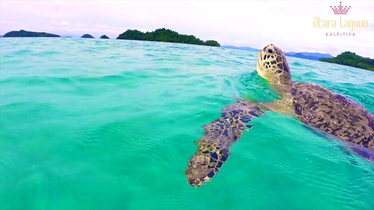 Atara Lagoon カルピティヤ エクステリア 写真